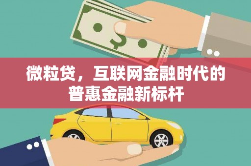 阆中微粒贷，互联网金融时代的普惠金融新标杆