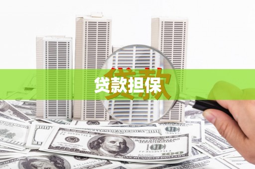 阆中贷款担保