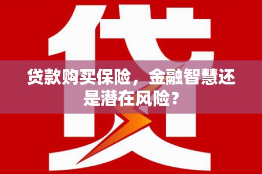 阆中贷款购买保险，金融智慧还是潜在风险？