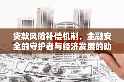 阆中贷款风险补偿机制，金融安全的守护者与经济发展的助推器