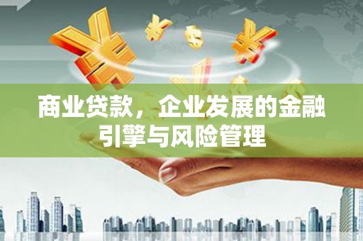 阆中商业贷款，企业发展的金融引擎与风险管理