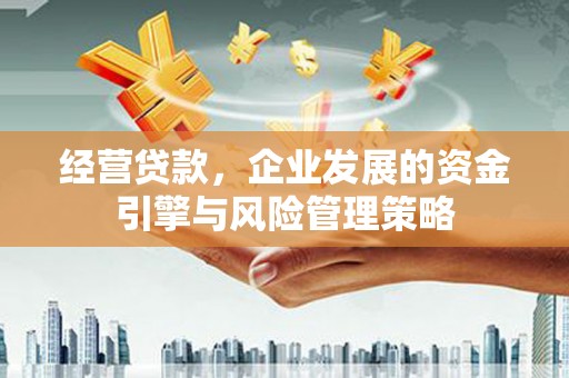 阆中经营贷款，企业发展的资金引擎与风险管理策略