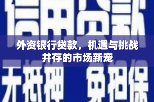 阆中外资银行贷款，机遇与挑战并存的市场新宠