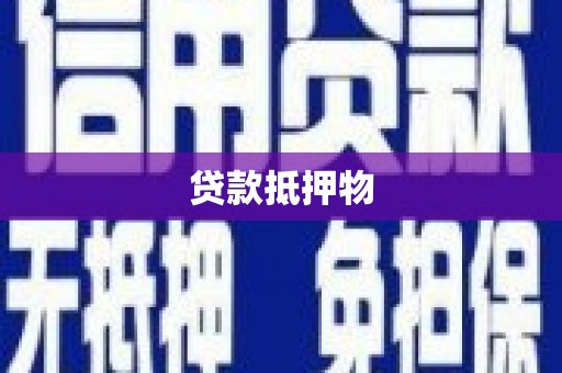 阆中贷款抵押物