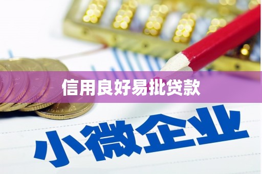 阆中信用良好易批贷款