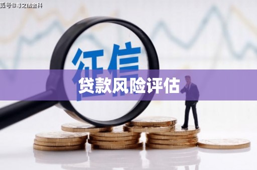 阆中贷款风险评估