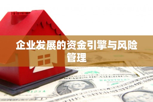 阆中企业发展的资金引擎与风险管理