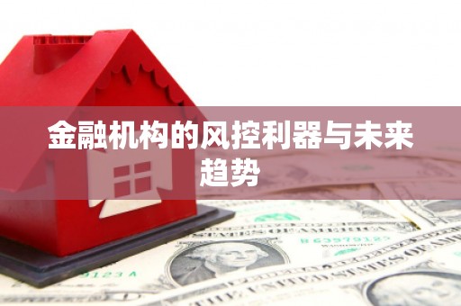 阆中金融机构的风控利器与未来趋势