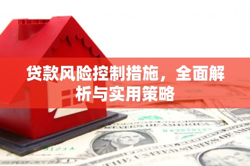 阆中贷款风险控制措施，全面解析与实用策略