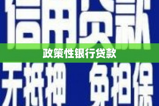 阆中政策性银行贷款