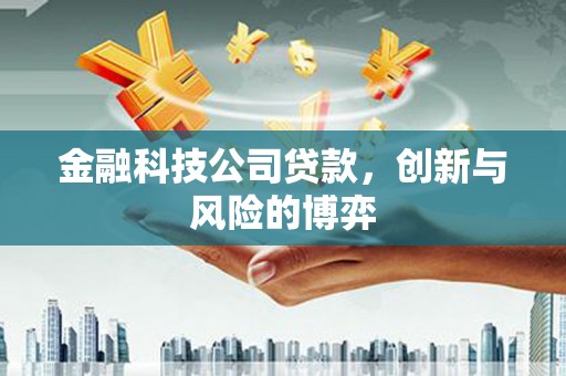 阆中金融科技公司贷款，创新与风险的博弈
