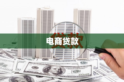 阆中电商贷款