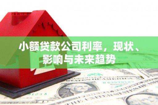 阆中小额贷款公司利率，现状、影响与未来趋势