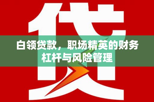 阆中白领贷款，职场精英的财务杠杆与风险管理