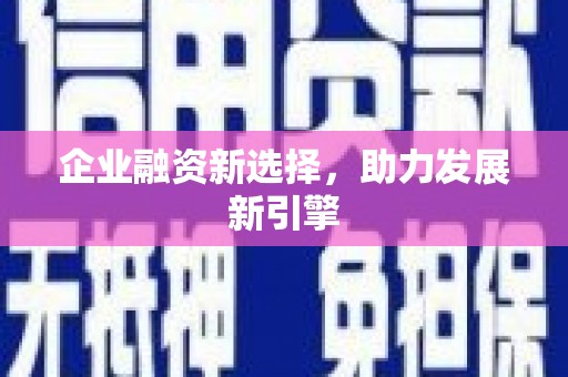 阆中企业融资新选择，助力发展新引擎