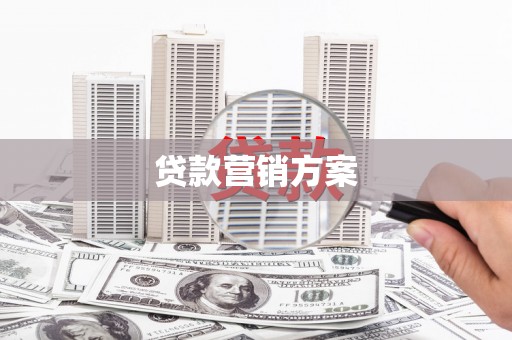 阆中贷款营销方案