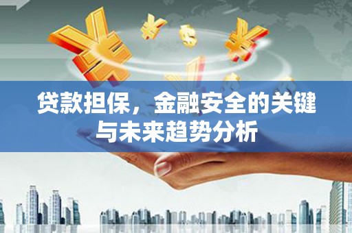 阆中贷款担保，金融安全的关键与未来趋势分析
