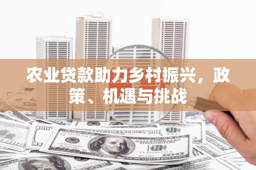 阆中农业贷款助力乡村振兴，政策、机遇与挑战