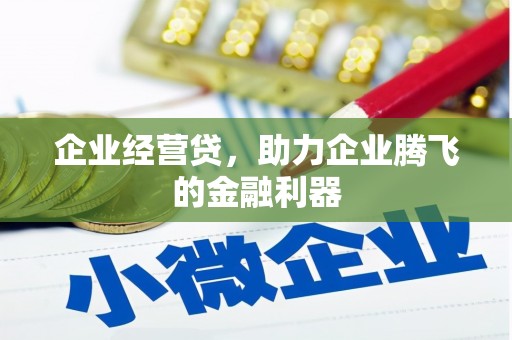 阆中企业经营贷，助力企业腾飞的金融利器