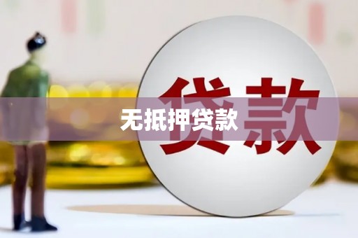 阆中无抵押贷款