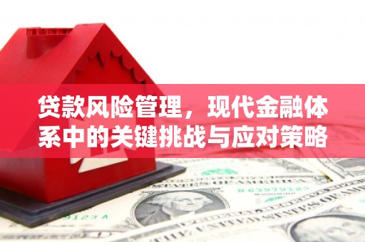阆中贷款风险管理，现代金融体系中的关键挑战与应对策略