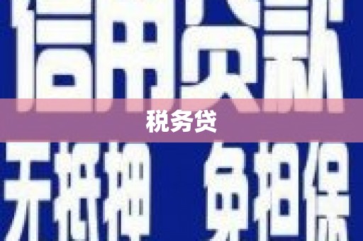 阆中税务贷
