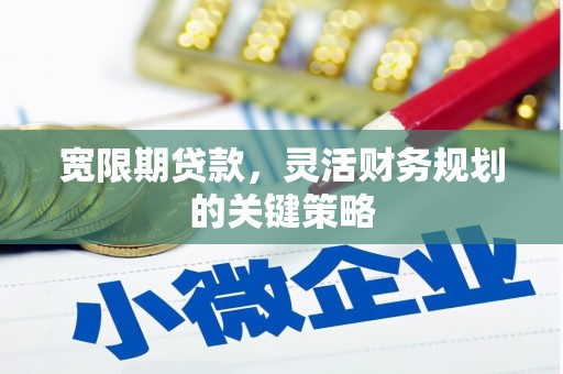 阆中宽限期贷款，灵活财务规划的关键策略