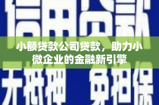 阆中小额贷款公司贷款，助力小微企业的金融新引擎