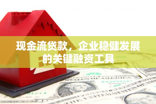 阆中现金流贷款，企业稳健发展的关键融资工具