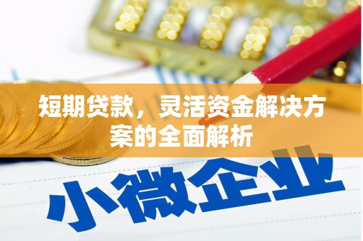 阆中短期贷款，灵活资金解决方案的全面解析