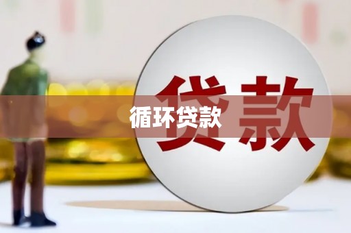 阆中循环贷款
