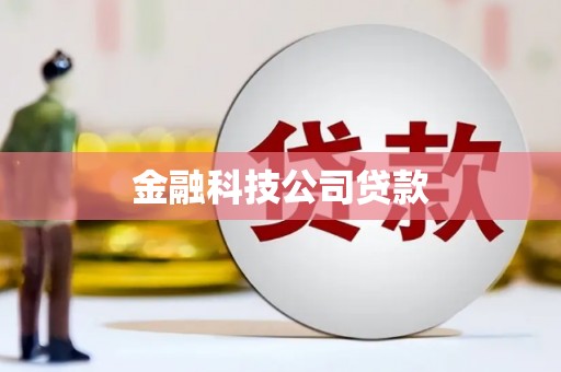 阆中金融科技公司贷款