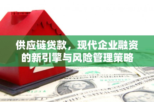 阆中供应链贷款，现代企业融资的新引擎与风险管理策略