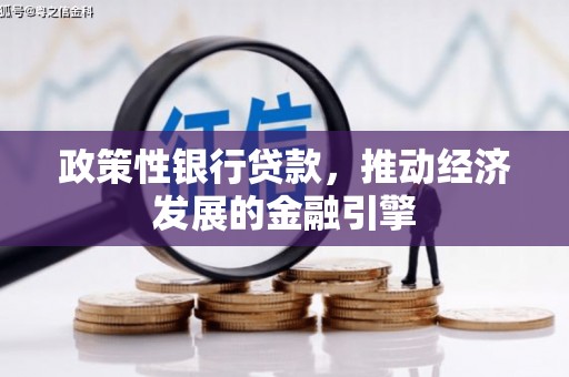 阆中政策性银行贷款，推动经济发展的金融引擎