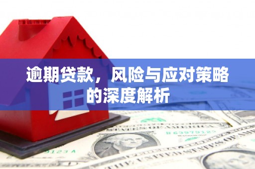 阆中逾期贷款，风险与应对策略的深度解析