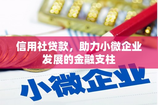 阆中信用社贷款，助力小微企业发展的金融支柱