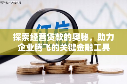 阆中探索经营贷款的奥秘，助力企业腾飞的关键金融工具