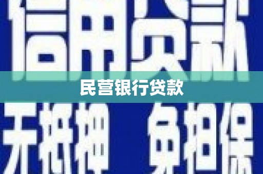 阆中民营银行贷款
