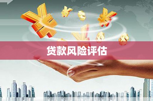阆中贷款风险评估