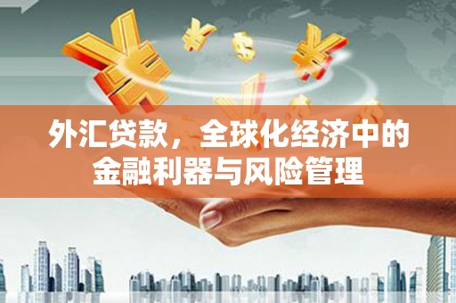 阆中外汇贷款，全球化经济中的金融利器与风险管理