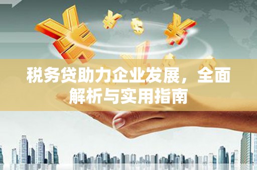 阆中税务贷助力企业发展，全面解析与实用指南