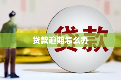 阆中贷款逾期怎么办