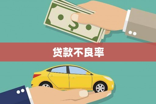 阆中贷款不良率