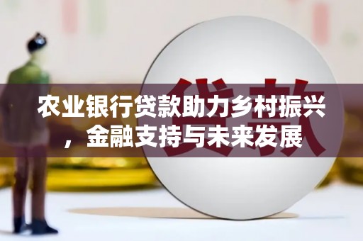 阆中农业银行贷款助力乡村振兴，金融支持与未来发展