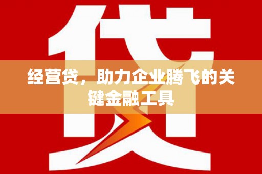 阆中经营贷，助力企业腾飞的关键金融工具
