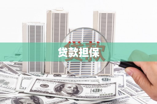 阆中贷款担保