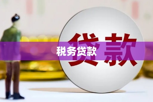 阆中税务贷款