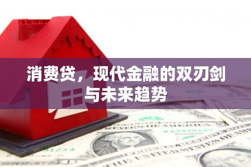 阆中消费贷，现代金融的双刃剑与未来趋势