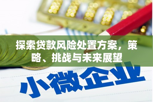 阆中探索贷款风险处置方案，策略、挑战与未来展望
