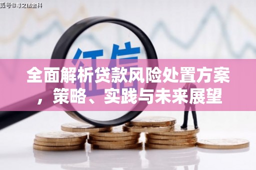 阆中全面解析贷款风险处置方案，策略、实践与未来展望